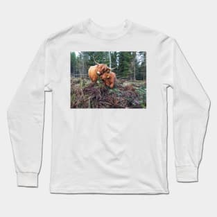 Scottish Highland Cattle Cow and Calf 1591 Long Sleeve T-Shirt